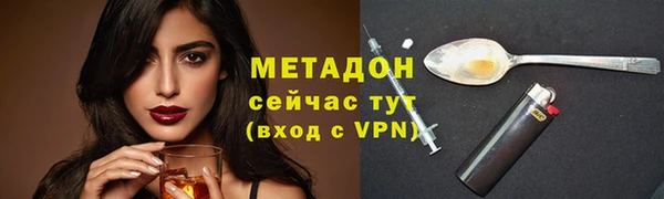 стаф Алзамай