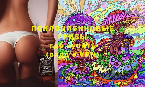 стаф Алзамай