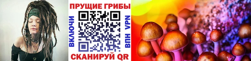 Галлюциногенные грибы Cubensis kraken вход Артём